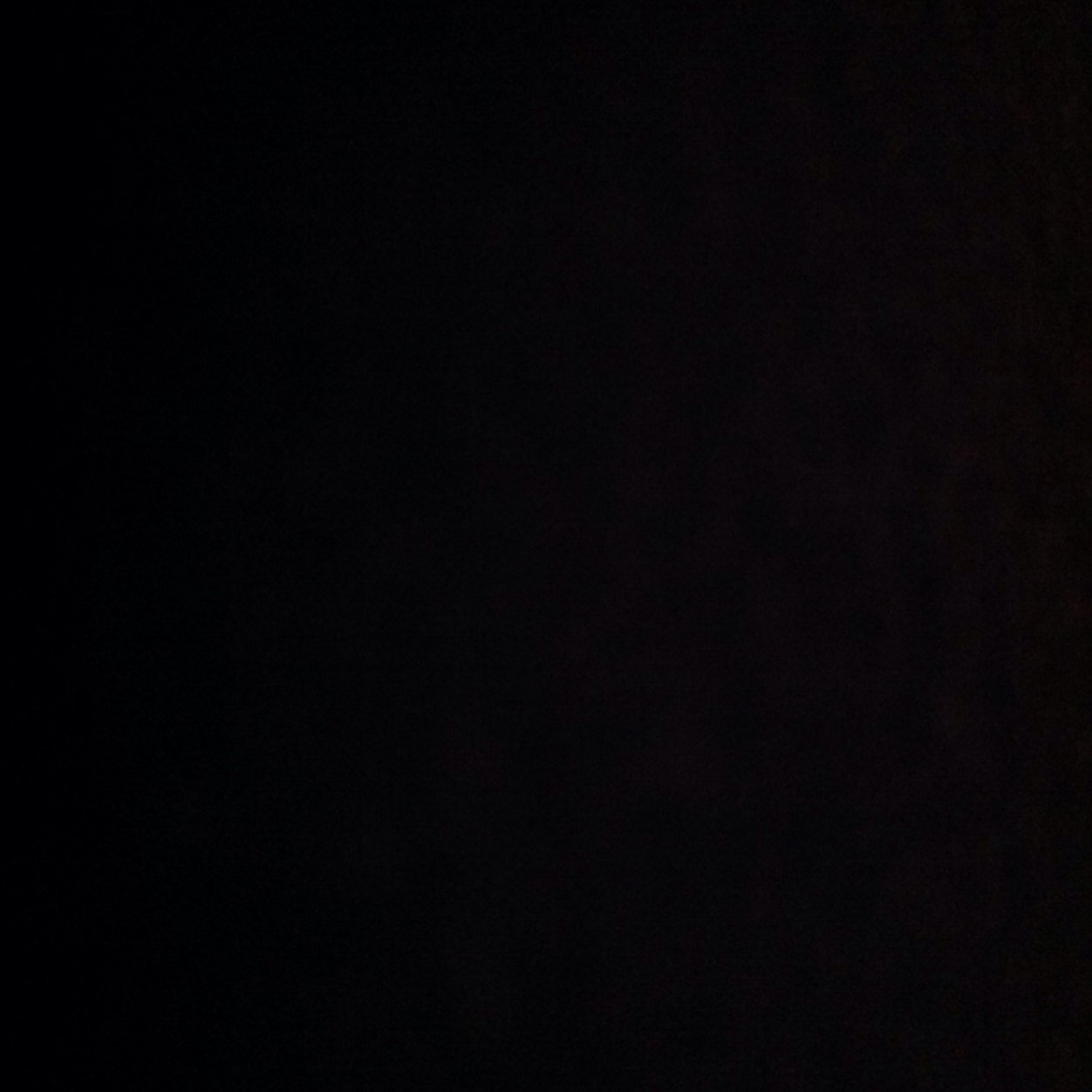 davido_connor's profile picture. Boston Red Sox, Travel, Adventure, Friends and Business