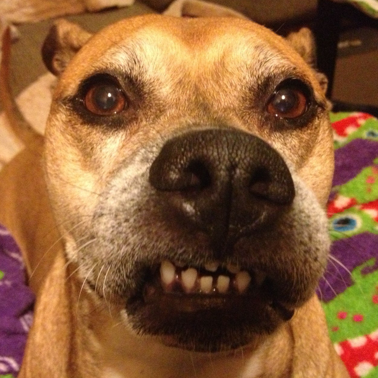 egolden's profile picture. 