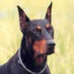 libarenaJC Profile Picture