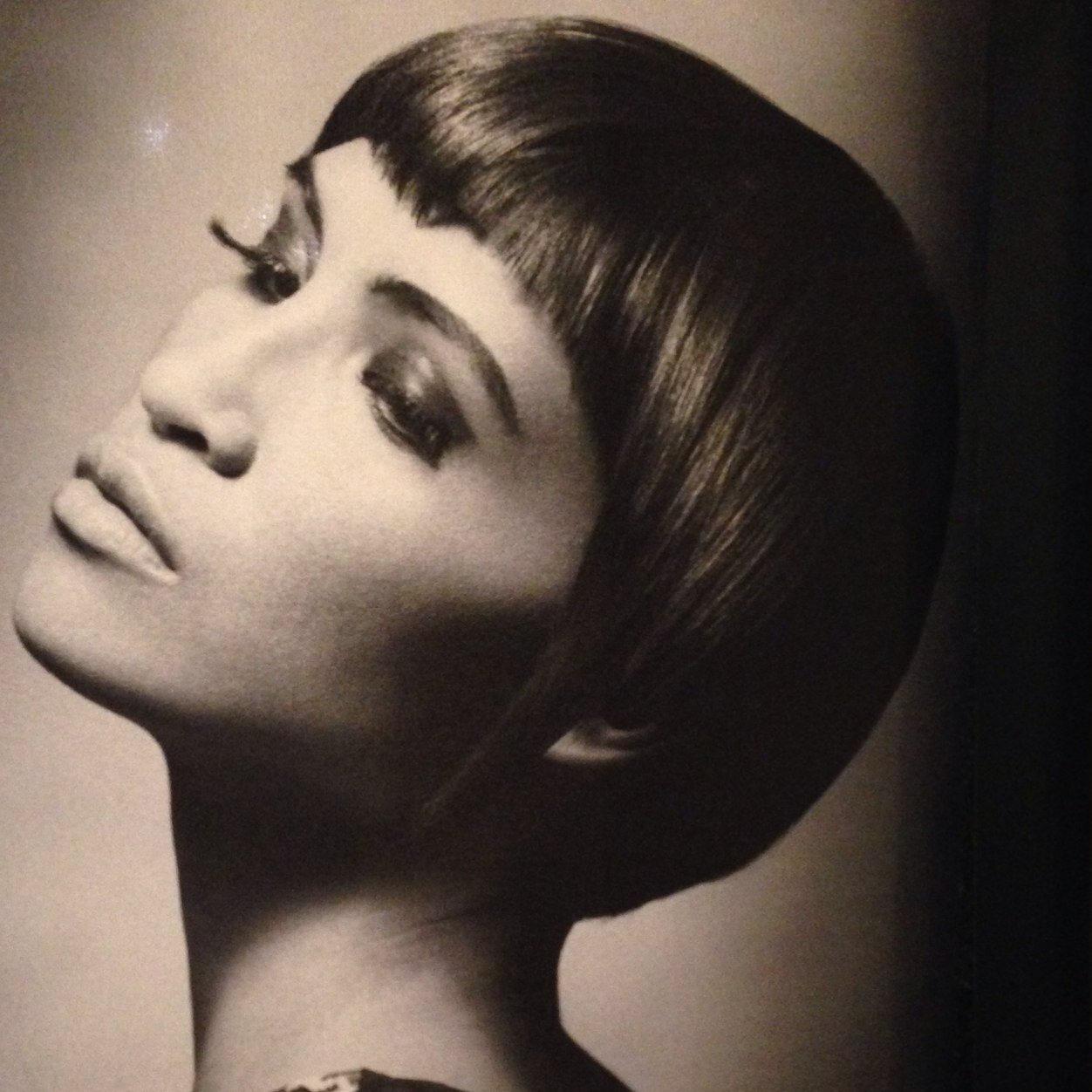 Sikrodil's profile picture. Official Sikrodil Twitter Seite!