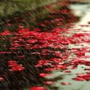 ******************** (@00506048580) Twitter