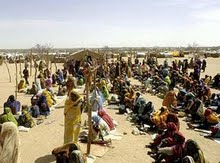 Amed Weelingkwe