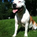 erwin cieslik - @erwni1 - Twitter