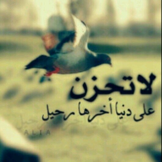 أستغفر الله وأتوب إليهً