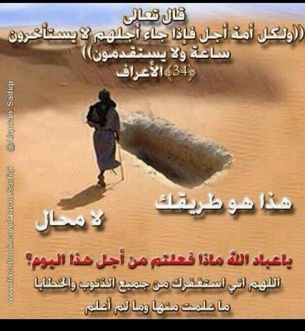 t____305's profile picture. امشي على الحق مهماء مالت بي الهواء!!!