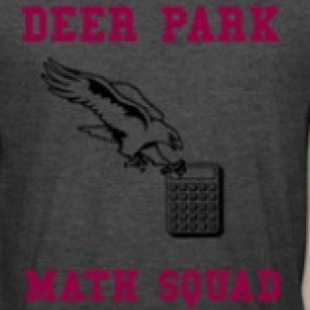 The Unofficial DP Math Squad Twitter run by your official managers
est. 2013-2014