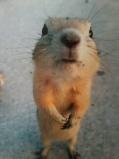 familiabene's profile picture. 