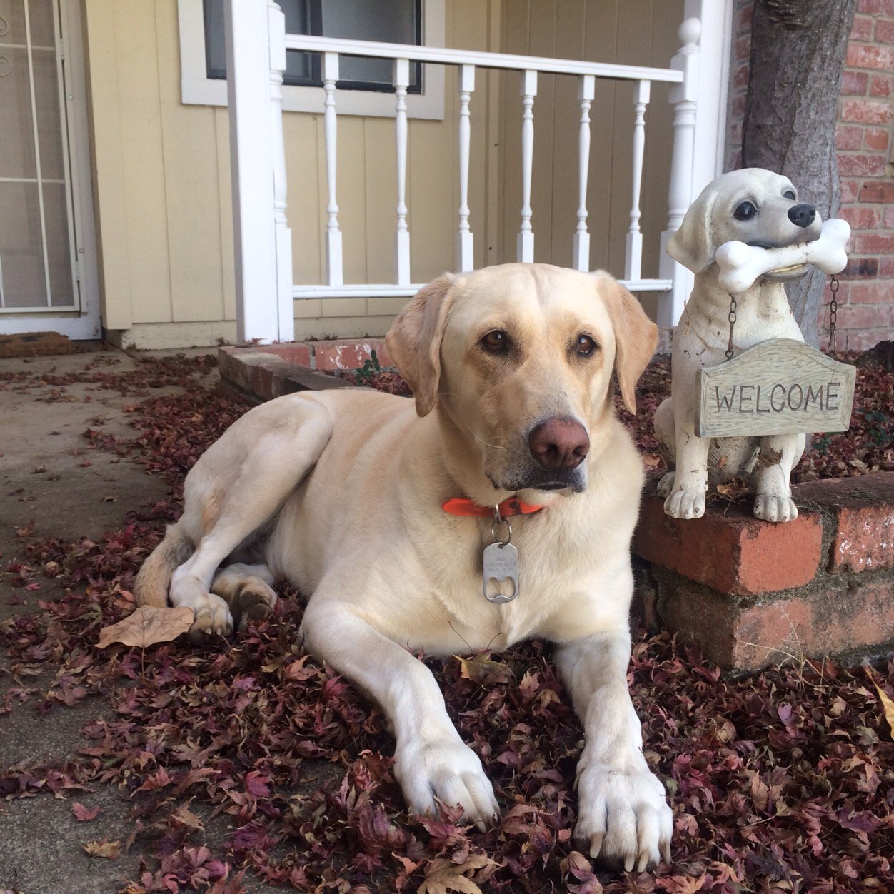 tuppered4's profile picture. 