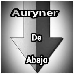 La auryner que esta leyendo esto ama a Auryn con locura.Aunque sean chicos normales,(en verdad están locos) darías todo por ellos.Si eres una Auryner siguenos.