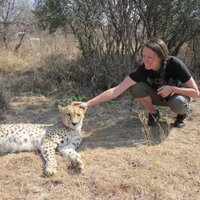 Caryn Peiffer (@drcarynpeiffer) 's Twitter Profile