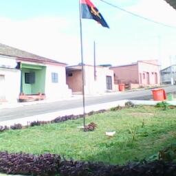 adao22971384's profile picture. 