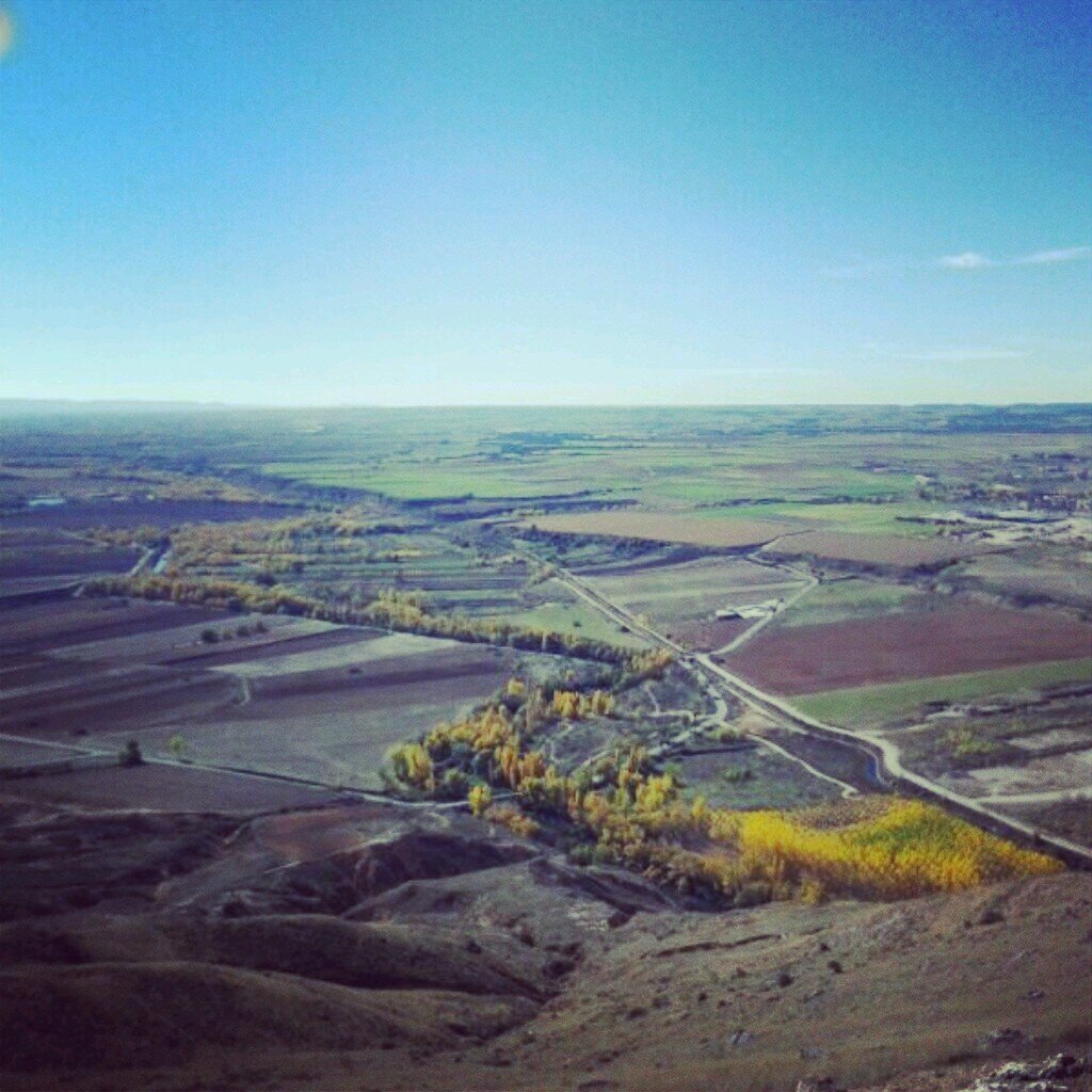 clauxi12's profile picture. Paso de falsas.