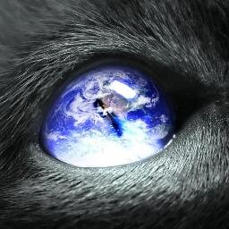 Im Maygan Phynix. I deal with trauma from past abuse/bad ADD. Vegan. Im channeling my energy into Perseverance to inspire&change the world. come join me!