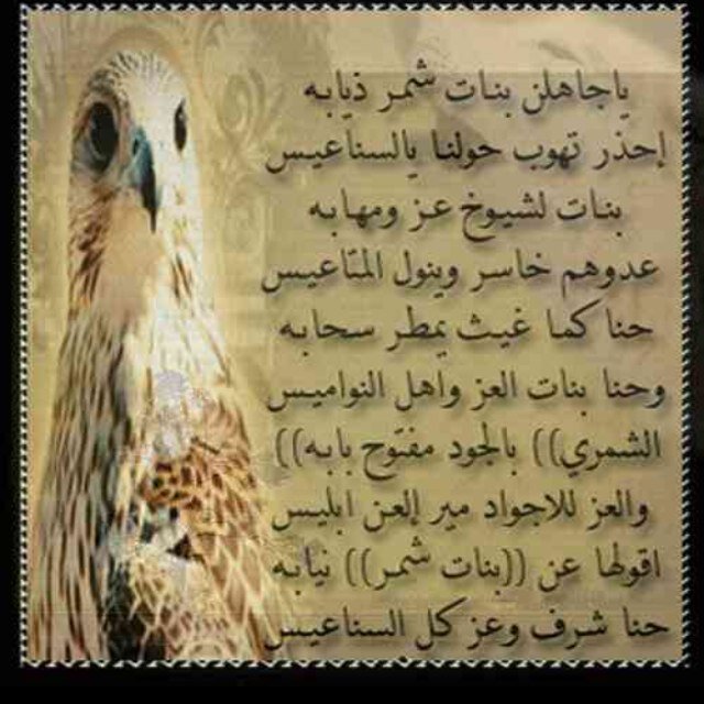 اقدر الطيب لو هو عدوي @ ولا الردي لو هو قريب خساره