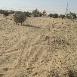 Desert Protection Campaign