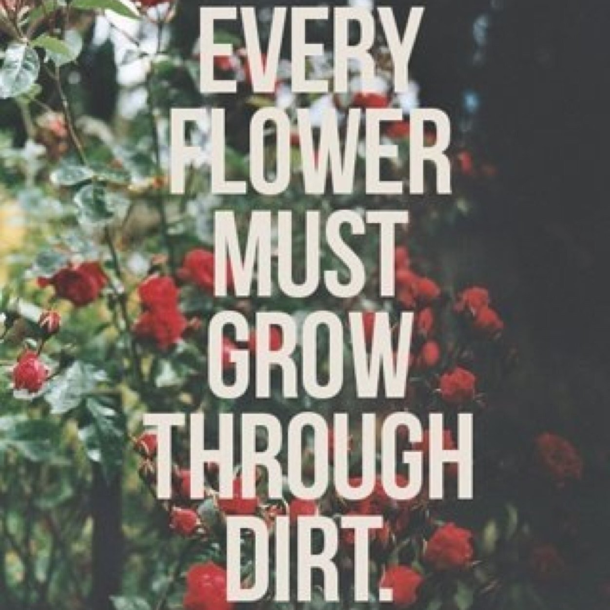 knowthatyouu's profile picture. Are so beautiful and loved, please dont ever think you're not worth it, one day he will follow you, dont give up x @paranoidirwin