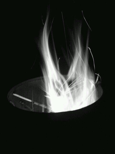 JoshtTinsley's profile picture. 