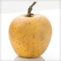 Eliza Greenman (@elizapples) 's Twitter Profile