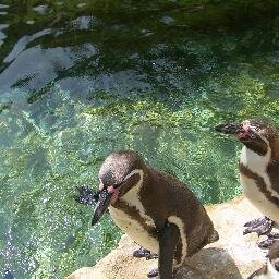 JARLOFF's profile picture. Lutte contre l 'analphabetisme