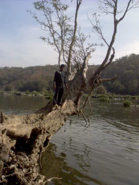 nadz_ace's profile picture. 