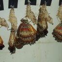 Alma Pina - @AlmaPina81 - Twitter