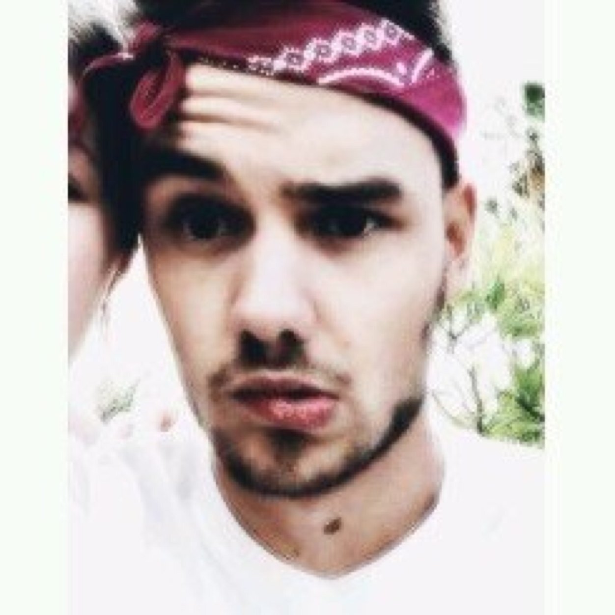 follow @serenadinglirry for a follow back ((fan accs only))