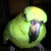 aldo joaquin (@aldomcz) Twitter profile photo