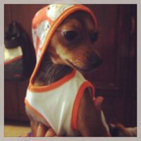 rishab khanna (@makeupbyrishab) 's Twitter Profile