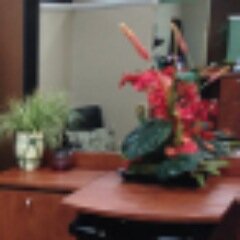 Jaclyn’s Spa in Brandon offers the hottest spa trends, stylish haircuts, vibrant color, popular manicures & pedicures, soothing massages, & enhancing facials.