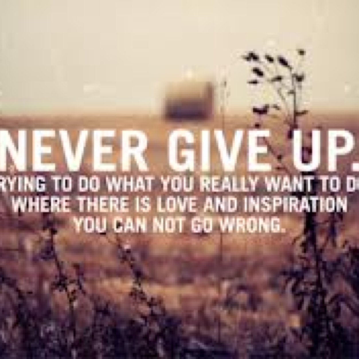 truthfultweetsx's profile picture. follow for funny tweets!