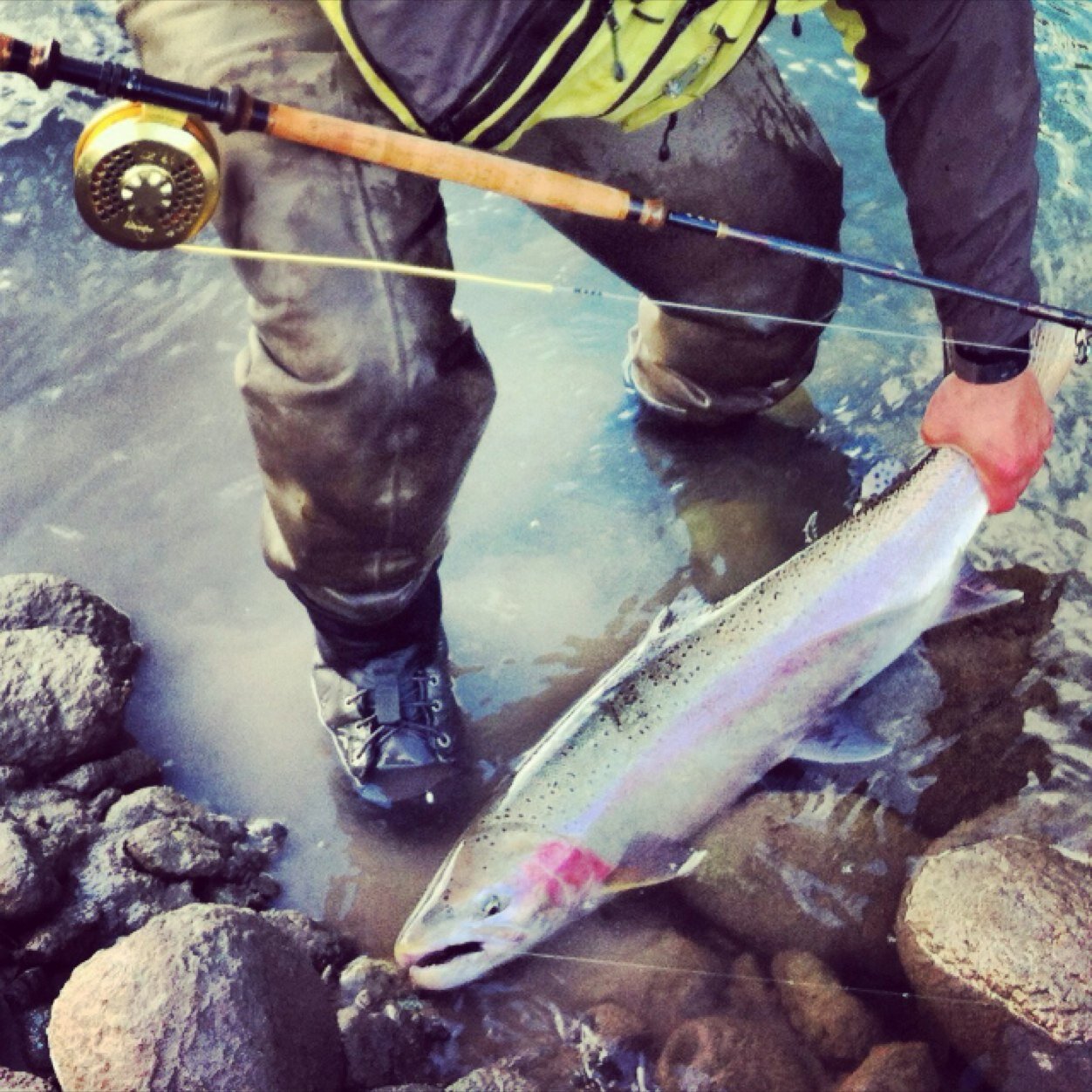 i live on the Northern tip of Vancouver Island. Fishing guide for #steelhead, #salmon and #halibut.