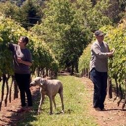 ProvenanceNZ's profile picture. 