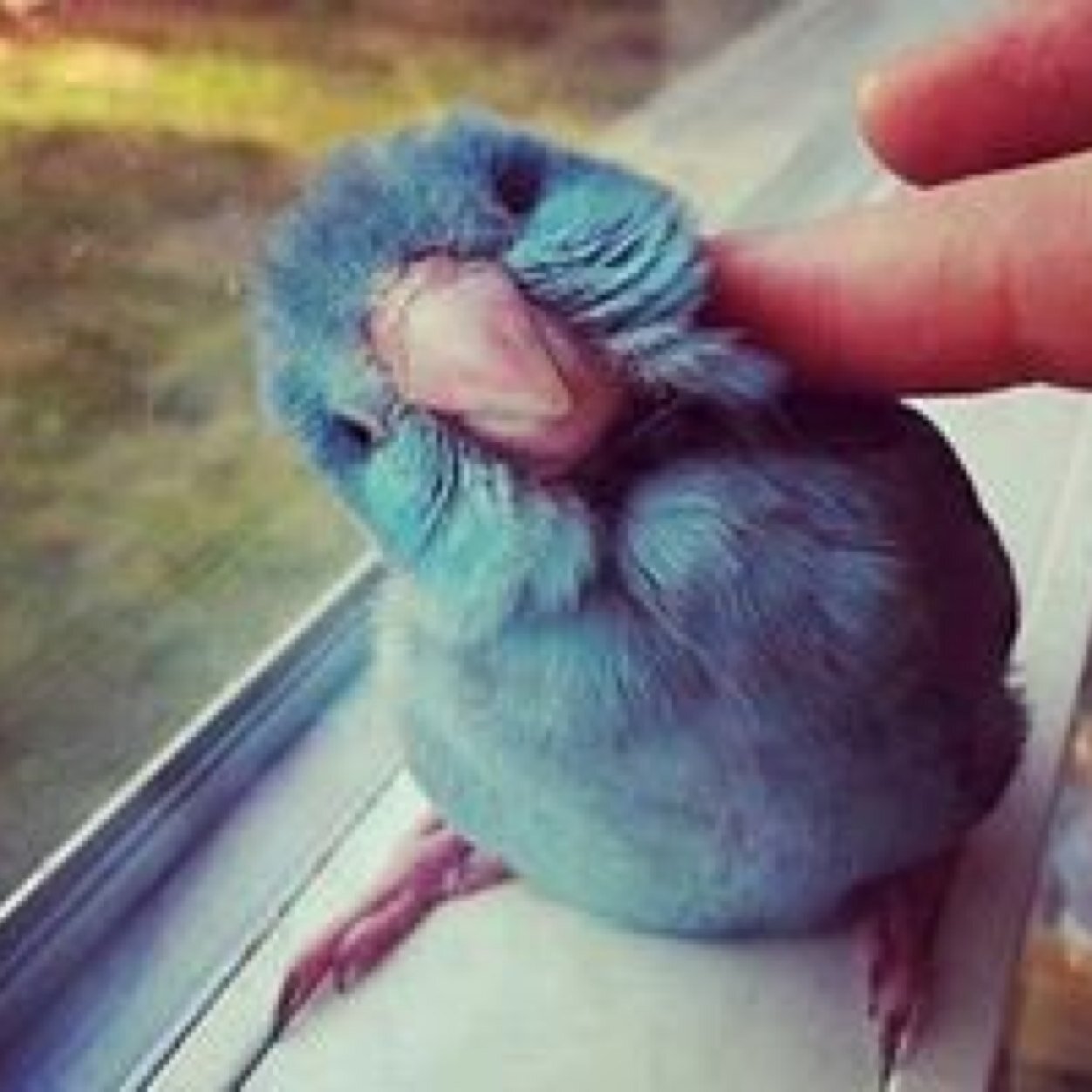 Send in confessions to the dm or ask.fm: http://t.co/8IttGE1O3x . Send  in confessions anonomously and we may be able to offer you advice(: