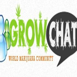 talk us about your growing experience and find answers to your questions in marijuana seeds growing,visit us at