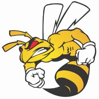 Honorbuddy1's profile picture. 