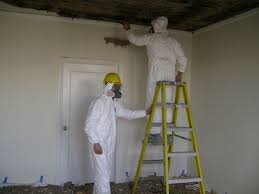 Here at mold removal services we have the ability to take care of any in home mold issues you might have.