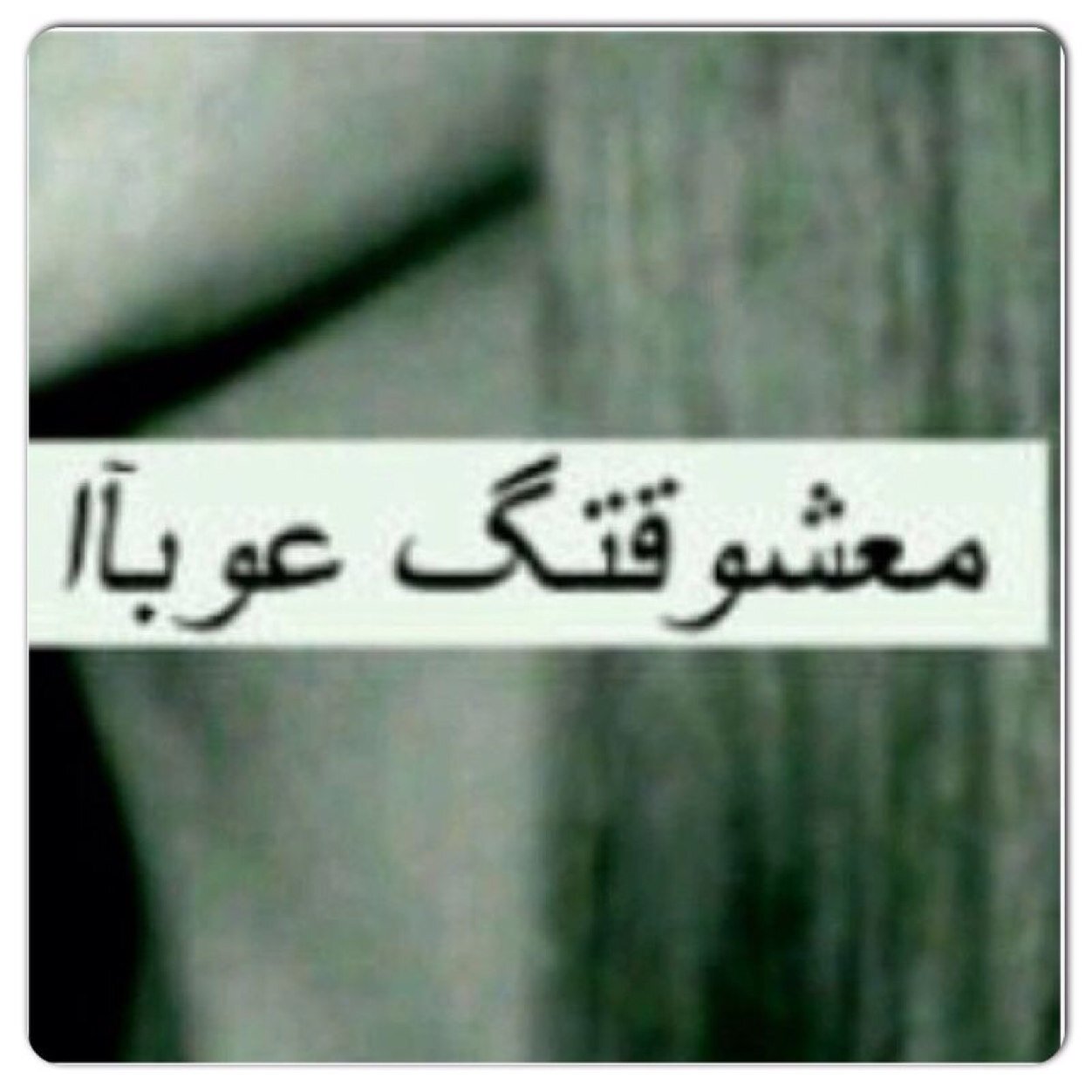 غاانميه ابا عن جد وافتخررر ومطنوووخه وطيوبه احب الشعر والقصيد✌️