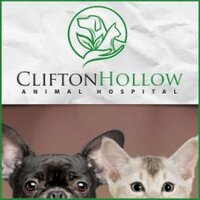 Clifton Hollow(@poulsbovet) 's Twitter Profile Photo