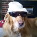 Rocco Scarcella (@rockyss23) Twitter profile photo