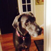 Kevin Krebs (@kevin_krebs) 's Twitter Profile