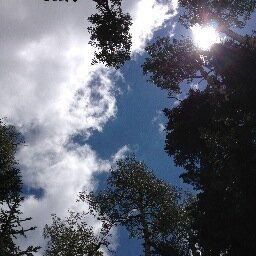 WelshKnows's profile picture. Cubs Win! Cubs Win! Cubs Win!