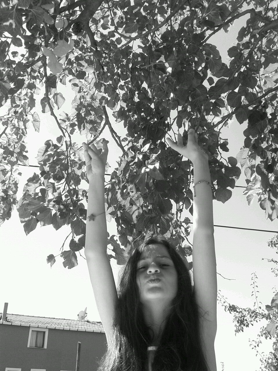 Melis
