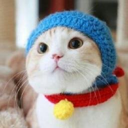 人生を諦めた小人。