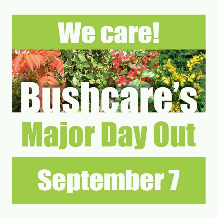 Bushcare's Major Day Out is a national day in September during Landcare week designed to encourage us all to take part in restoring our local bushland areas