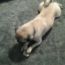 leeann shaw - @shawleeann29 - Twitter