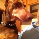 howard tillman - @howard_tillman - Twitter