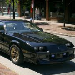 Shagster117's profile picture. The original seamunster101