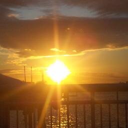 adulttoyz4cheap's profile picture. GOD is sitting high and looking low. GOD is truly good.a little about myself quite, hard worker love people,like to talk also i know when to be quite to u peace