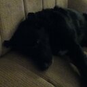 Ryan Carruthers - @RyanCarruthers0 - Twitter