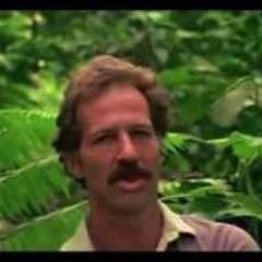 weirdexcuses's profile picture. 